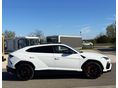 LAMBORGHINI URUS 2021/6 - 5