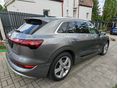 AUDI E-TRON 2020/11 - 7
