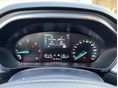 FORD FOCUS 2023/2 - 13