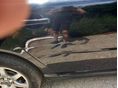 VOLVO S80 2008/5 - 9