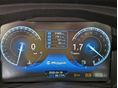 MALAGUTI MADISON 300 2020 - 7