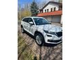 SKODA KODIAQ 2018 - 2