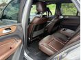 MERCEDES-BENZ ML 350 2014/9 - 9