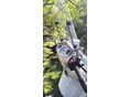 APRILIA SCARABEO 300 2011/10 - 2