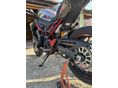 KAWASAKI Z 900 2025/7 - 8