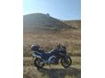 SUZUKI DL 1000 