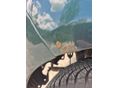DAIHATSU TREVIS 2006/9 - 9