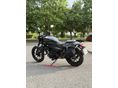 KAWASAKI EL 500 ELIMINATOR 2024 - 3