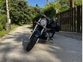 SUZUKI VL 800 (INTRUDER) 2007/6 - 2