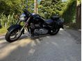 SUZUKI VL 800 (INTRUDER) 2007/6 - 3