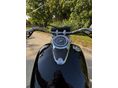 SUZUKI VL 800 (INTRUDER) 2007/6 - 6