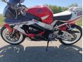 HONDA CBR 900 RR 2003 - 5