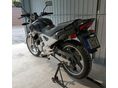 HONDA CBF 250 2005/8 - 3
