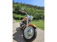 HARLEY-DAVIDSON FAT BOY Flstf