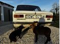 LADA 2101 1978/1 - 12