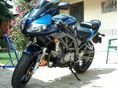SUZUKI SV 650 S 2008 - 2