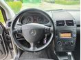 MERCEDES-BENZ A 160 2011/10 - 25
