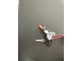 BMW C 600 2014/5 - 30