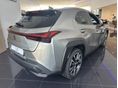 LEXUS UX 2026 - 2