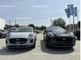 FORD PUMA 2026 - 8