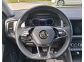 SKODA KODIAQ 2023/9 - 10