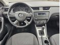 SKODA OCTAVIA 2014/2 - 8
