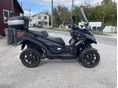QUADRO QV4 2019/3 - 5