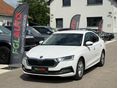 SKODA OCTAVIA 2.0 TDI SCR Style DSG MO.-I. 1. TUL. SÉR.MENTES. VÉGIG VEZ. SZERV.KÖNYV