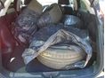 NISSAN JUKE 2012/3 - 5