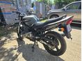 SUZUKI GS 500 E 2007/9 - 5