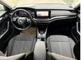 SKODA OCTAVIA 2021/5 - 8