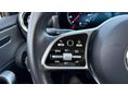 MERCEDES-BENZ A 250 2021/5 - 27