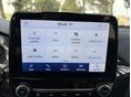FORD PUMA 2020/8 - 12