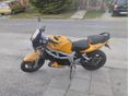 SUZUKI SV 650 N 