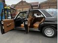 MERCEDES-BENZ W 114 1975 - 26