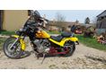 HONDA VT 600 C SHADOW 1992/5 - 2