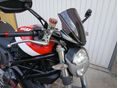 DUCATI MONSTER 1100 (DUAL SPARK) 2010/4 - 3