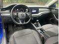 SKODA OCTAVIA 2023/2 - 17