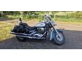 SUZUKI VL 800 (INTRUDER) 