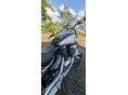 SUZUKI VL 800 (INTRUDER) 2009/9 - 6