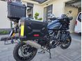 HARLEY-DAVIDSON PAN AMERICA SPECIAL 2021 - 3