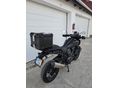 HARLEY-DAVIDSON PAN AMERICA SPECIAL 2021 - 4