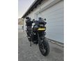 HARLEY-DAVIDSON PAN AMERICA SPECIAL 2021 - 3