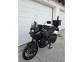 HARLEY-DAVIDSON PAN AMERICA SPECIAL 2021 - 9