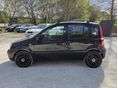 FIAT PANDA 2009/3 - 6