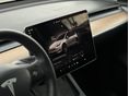 TESLA MODEL Y 2022/9 - 11