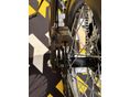 SUR-RON ULTRA BEE 2026/6 - 8
