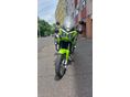 TRIUMPH TIGER 955I 2001 - 7