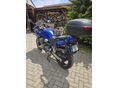 SUZUKI GSF 600 S (BANDIT) 2002/3 - 5