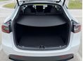 TESLA MODEL Y 2023/2 - 5